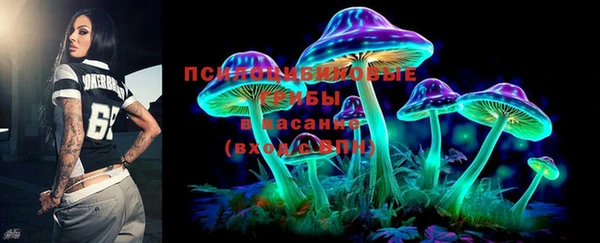 мяу мяу мука Баксан
