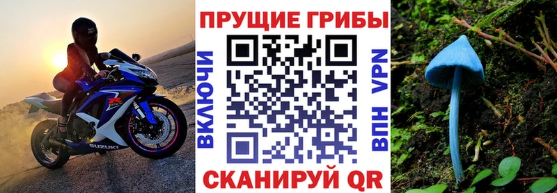 Галлюциногенные грибы мицелий  сколько стоит  Лебедянь 
